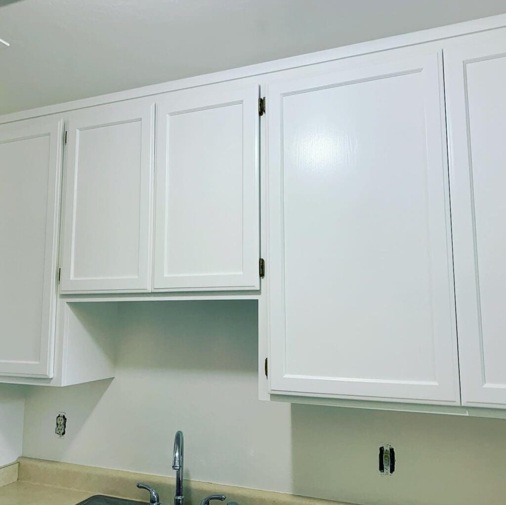 Professional-Cabinet-Painting