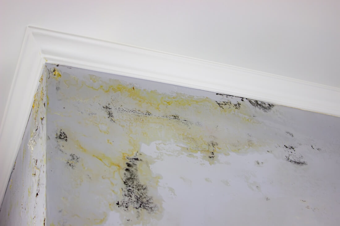 addressing water damage in interior paint
