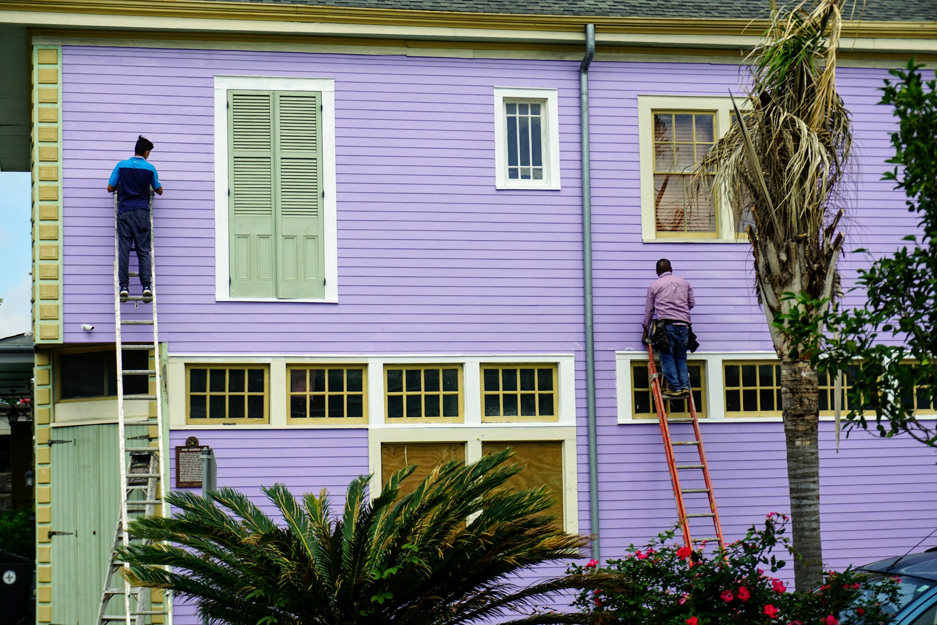 Repaint a House
